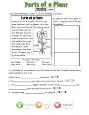 English Worksheet: Parts of a plant 