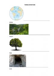 English Worksheet: Things in nature