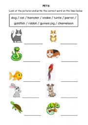 English Worksheet: Pets
