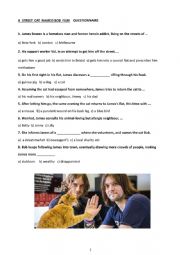 A SREET CAT NAMED BOB film  QUESTIONNAIRE