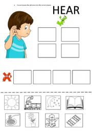 English worksheet: 5 SENSES - HEAR