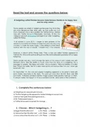 English Worksheet: Reading comprehension 
