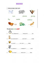 English Worksheet: What can animals do?
