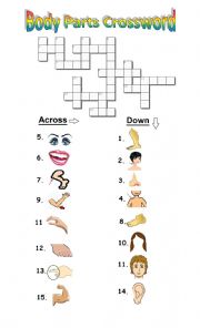 English Worksheet: Body Parts Crossword