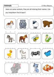 English Worksheet: Animal Spelling 