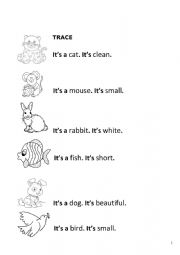 PETS AND ADJECTIVES