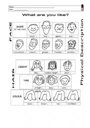 English Worksheet: What are you like?