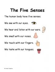 English Worksheet: Five senses