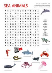 English Worksheet: Sea Animals