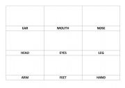 Body parts flashcards