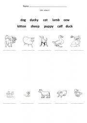 English Worksheet: Baby animals