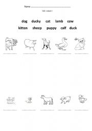 English Worksheet: Baby animals