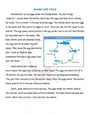 English Worksheet: Shark life cycle - passage