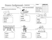 English Worksheet: SENSE ASSIGNMENT 