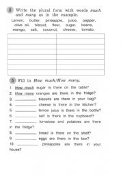 English Worksheet: many/much