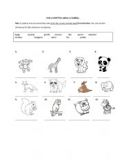 English Worksheet: Can or can�t for ability or inability