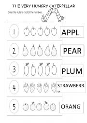 English Worksheet: The very hungry caterpillar