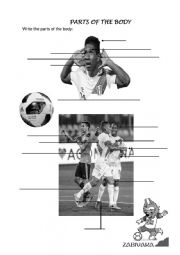 English Worksheet: Body parts