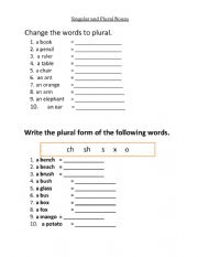 English Worksheet: Singular-Plural Nouns
