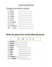 Singular-Plural Nouns