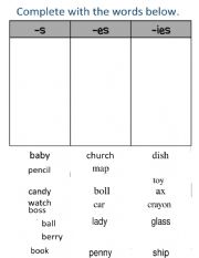 English Worksheet: plural