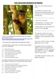 The Capuchin Monkeys of Brazil - Reading - to be verb