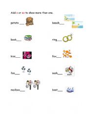 English Worksheet: Plurals-Adding s/es