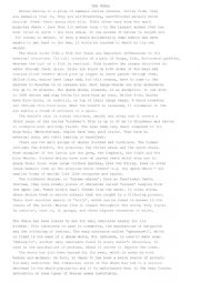 English Worksheet: Reading Comprehension
