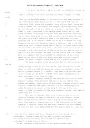 English Worksheet: Reading Comprehension