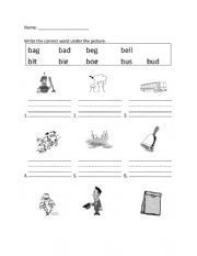 English Worksheet: B short vowel words