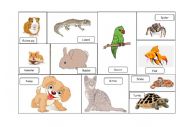 Pets Memory game