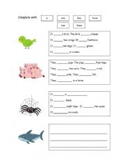 English Worksheet: ANIMAL DESCRIPTIONS