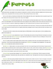 English Worksheet: Parrots reading comprehension + 20 questions/ quiz