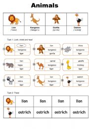 Animals worksheet