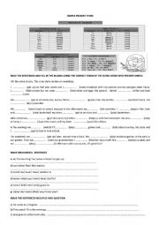 English Worksheet: Simple Present Tense Grammar Exercises