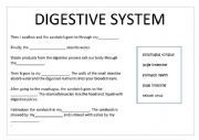 English Worksheet: Digestion of a sandwich