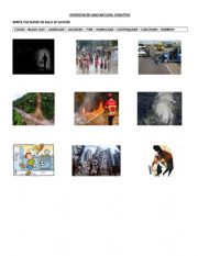 English Worksheet: Emergencies y natural disasters