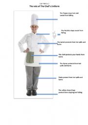 English Worksheet: The Role of the Chef s Uniform Part 1