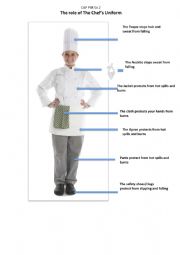 The Role of the Chef s Uniform Part 1