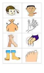 English Worksheet: body parts flashcards