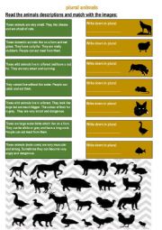 plural forms of animals