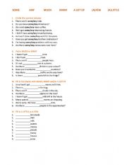 English Worksheet: some/any/many/much/a few/a little