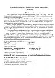 English Worksheet: Reading Comprehension