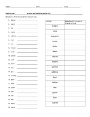 English Worksheet: Plural Noun Test