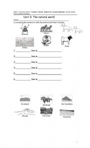 English Worksheet: habitat and animals