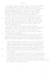 English Worksheet: Reading Comprehension