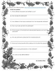 English Worksheet: Rainforest