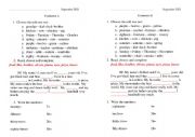 English Worksheet: initial evaluation of use of English
