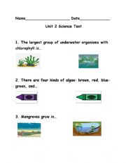 English Worksheet: Water Life Science Unit Test