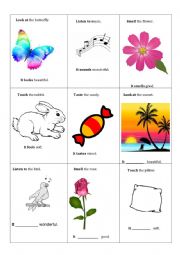 English Worksheet: The Five Senses 